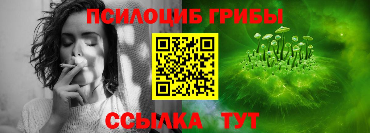 Копейск  Галлюциногенные грибы MAGIC MUSHROOMS  Псилоцибиновые грибы прущие грибы  Вход с VPN 